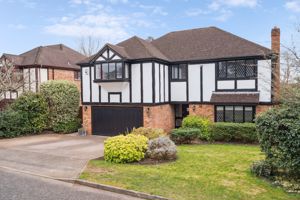 Photo 9- click for photo gallery